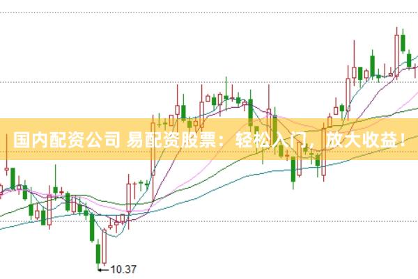 国内配资公司 易配资股票：轻松入门，放大收益！