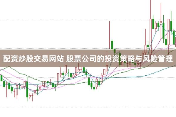 配资炒股交易网站 股票公司的投资策略与风险管理