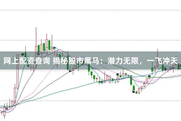 网上配资查询 揭秘股市黑马：潜力无限，一飞冲天