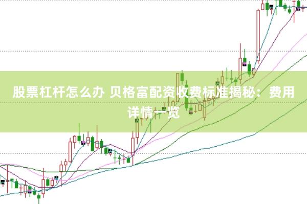 股票杠杆怎么办 贝格富配资收费标准揭秘：费用详情一览