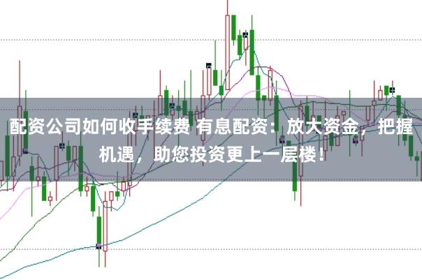 配资公司如何收手续费 有息配资：放大资金，把握机遇，助您投资更上一层楼！