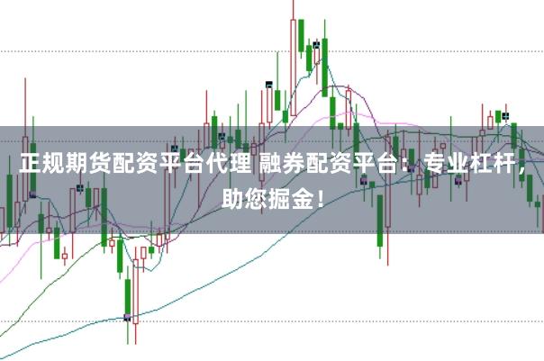 正规期货配资平台代理 融券配资平台：专业杠杆，助您掘金！