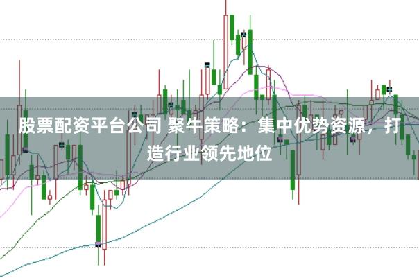 股票配资平台公司 聚牛策略：集中优势资源，打造行业领先地位