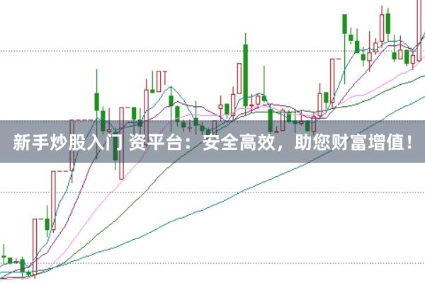 新手炒股入门 资平台：安全高效，助您财富增值！