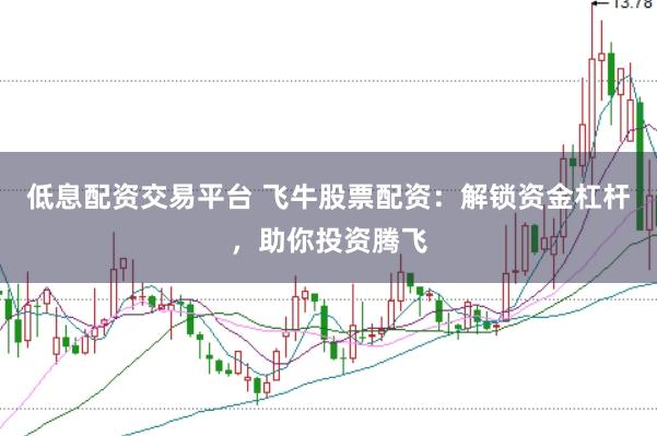 低息配资交易平台 飞牛股票配资：解锁资金杠杆，助你投资腾飞