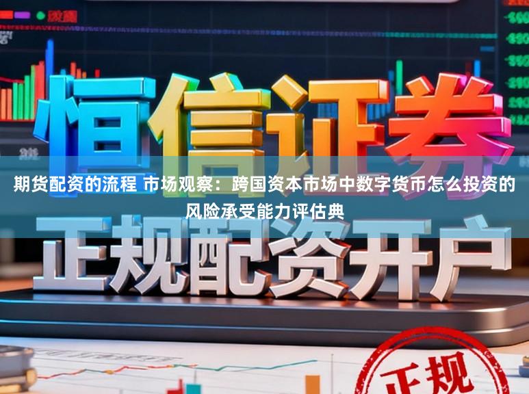 期货配资的流程 市场观察：跨国资本市场中数字货币怎么投资的风险承受能力评估典