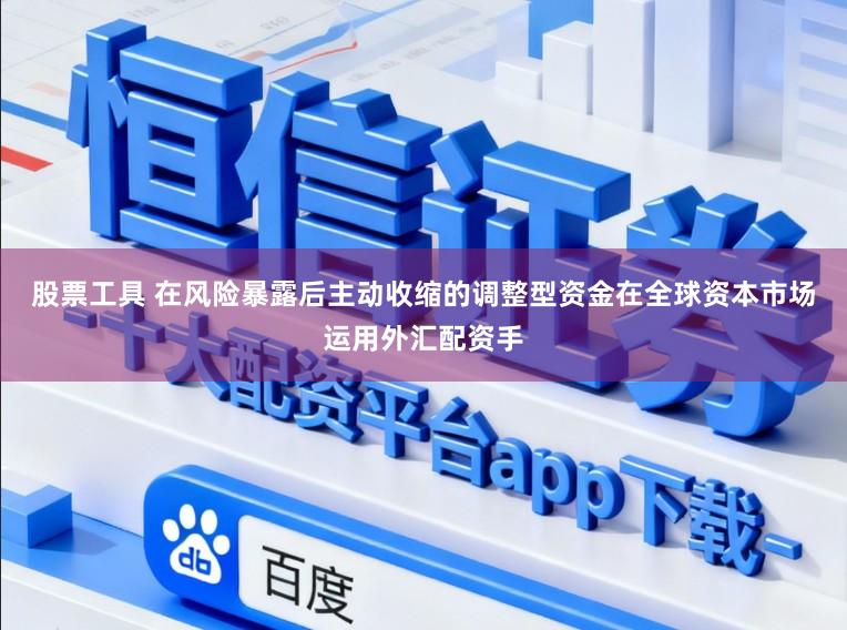 股票工具 在风险暴露后主动收缩的调整型资金在全球资本市场运用外汇配资手