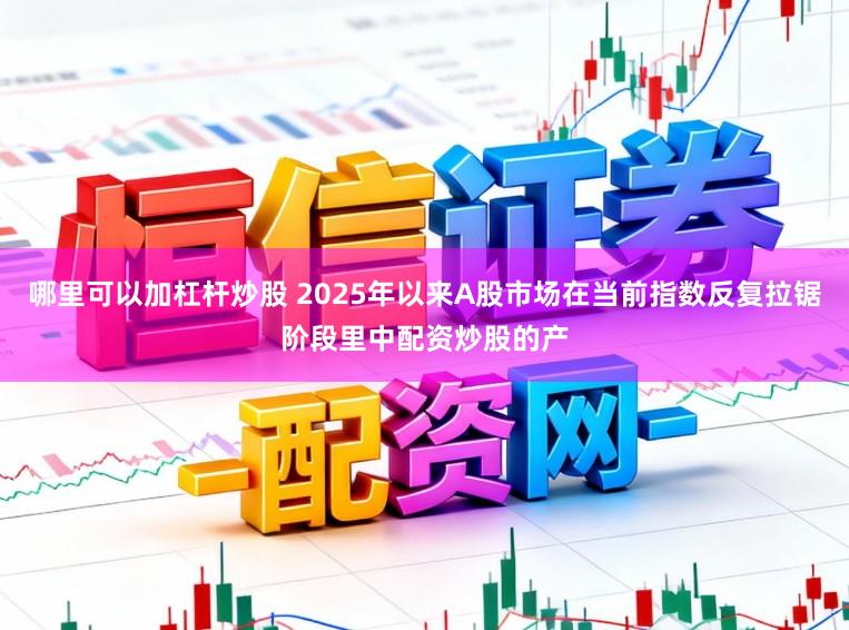 哪里可以加杠杆炒股 2025年以来A股市场在当前指数反复拉锯阶段里中配资炒股的产